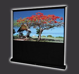 Motorized Projection Screen